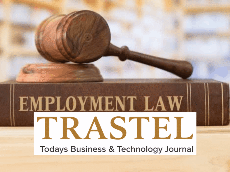 Employment Law Attorney